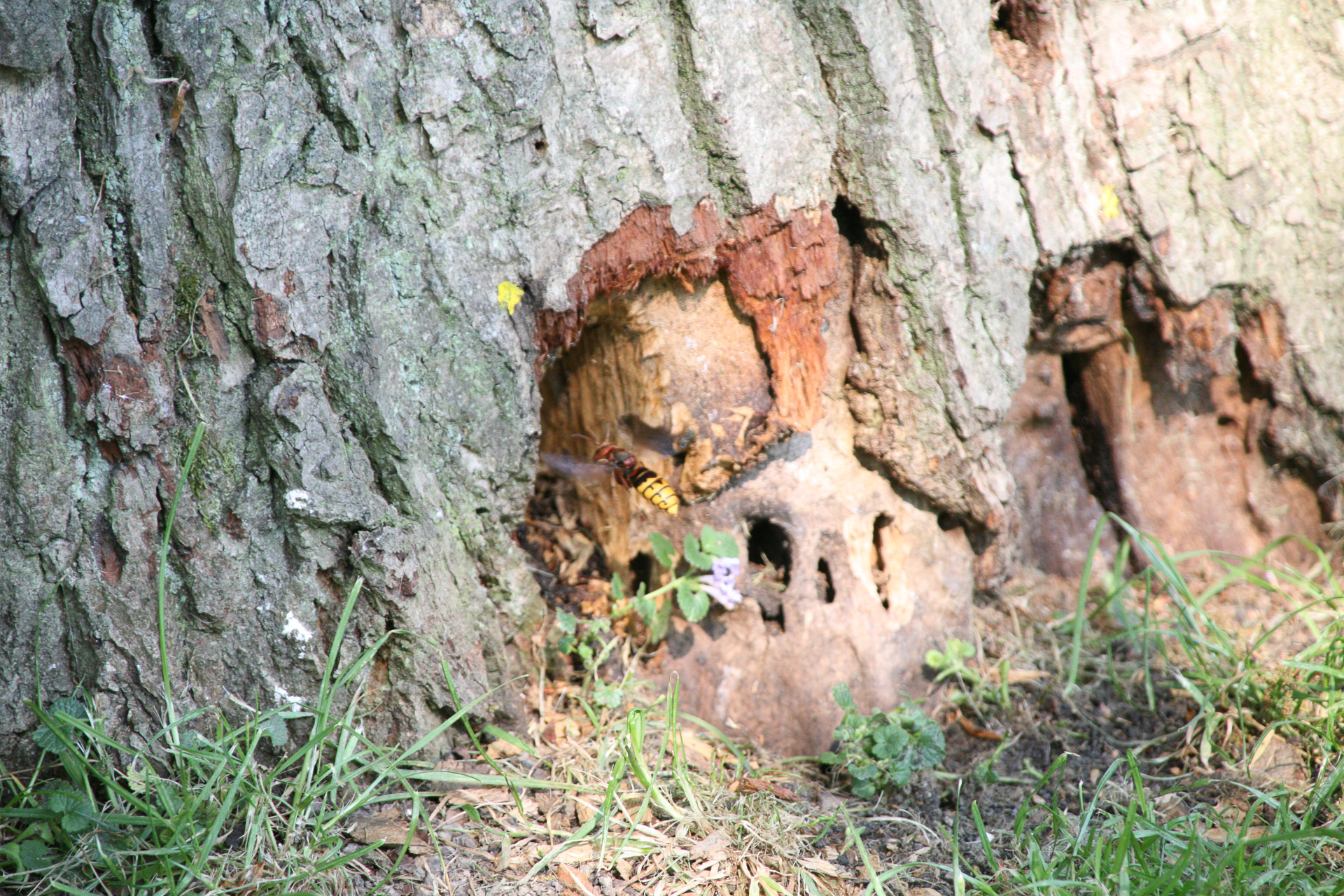 20070429100919 IMG 5340